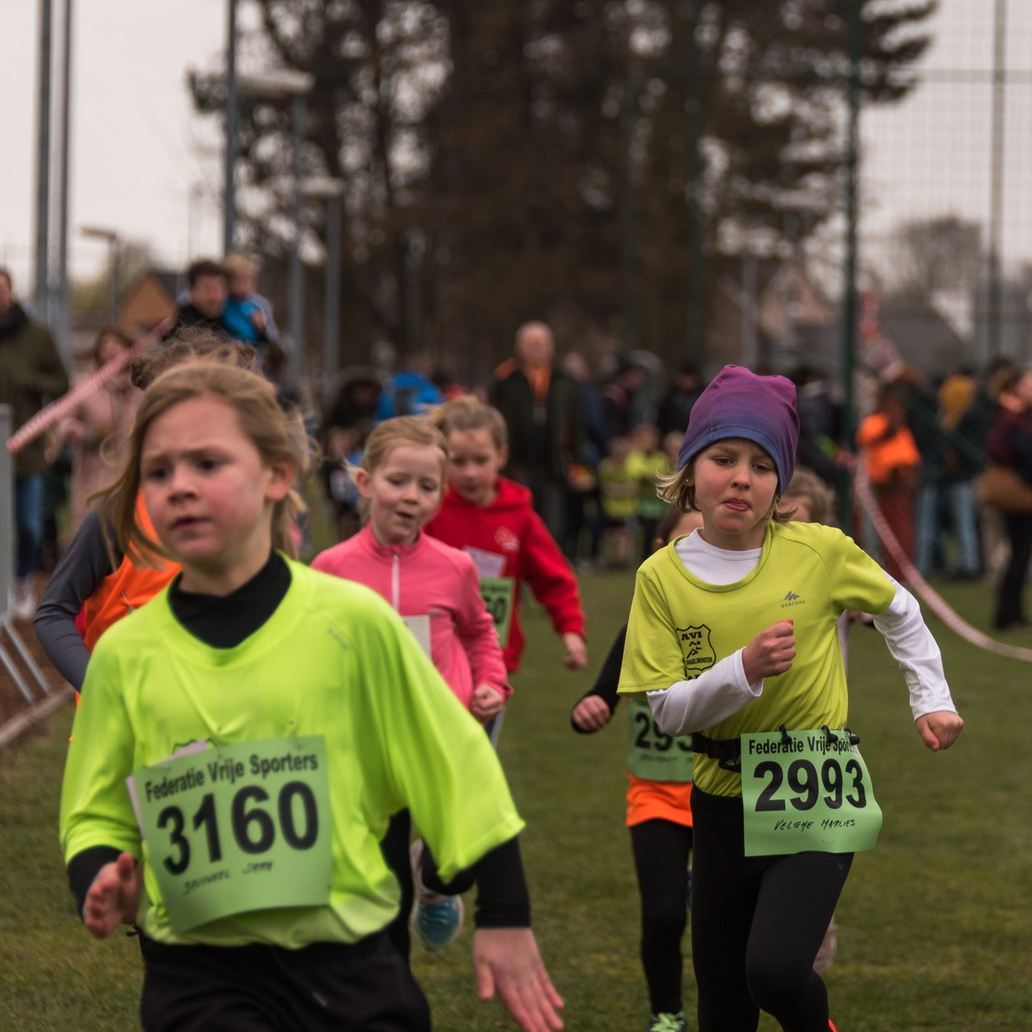 Veldloop Harelbeke