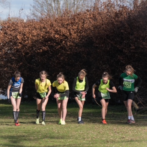 Veldloop Meulebeke